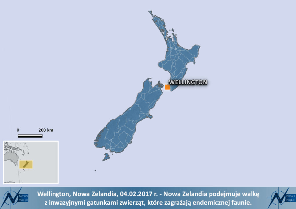 NZ1