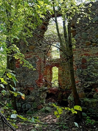 Pozostałości po dworze De Virionów www.zabytki.org